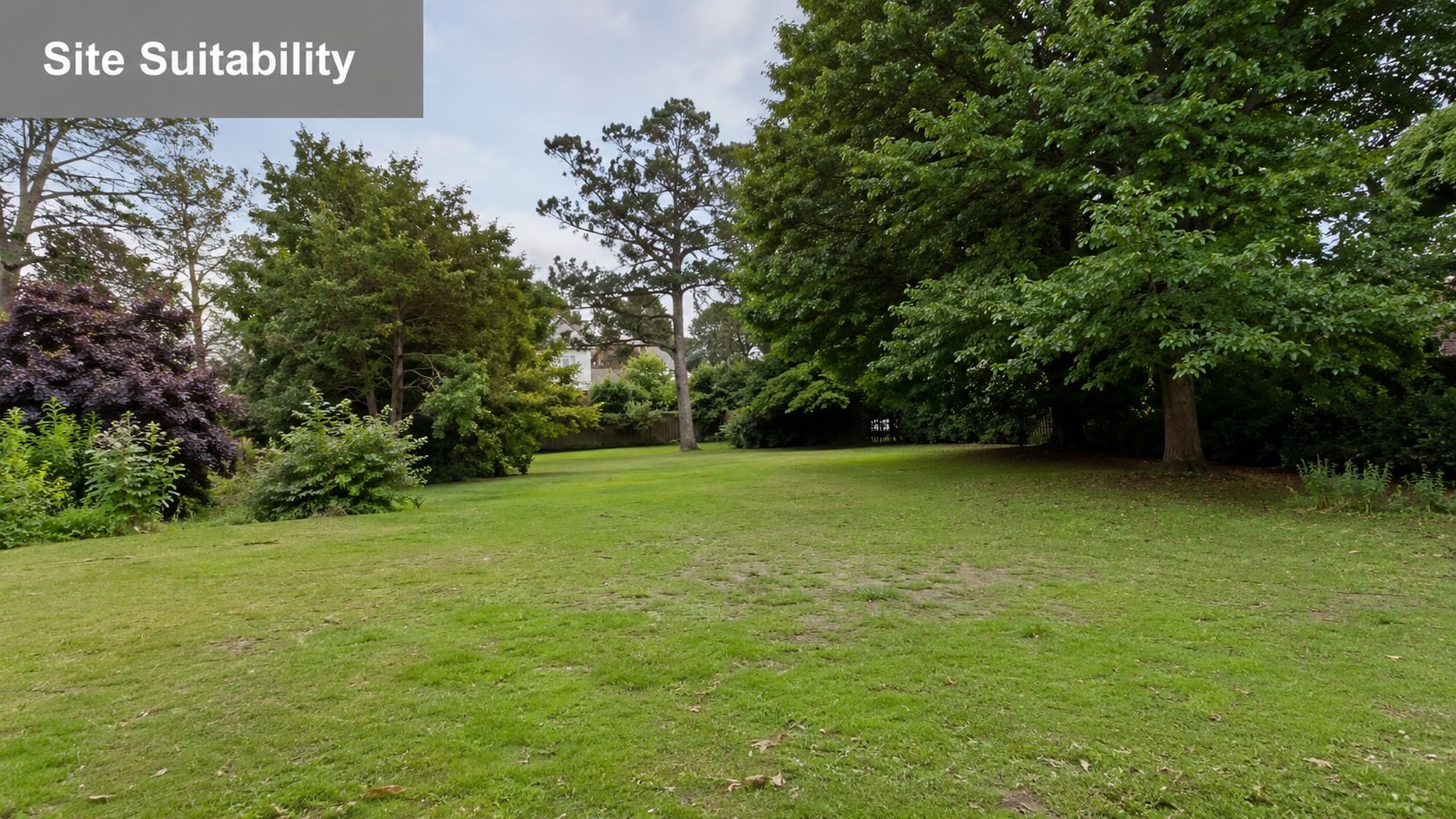 A wide, grassy garden space with tall trees, suitable for outdoor events like a marquee hire.